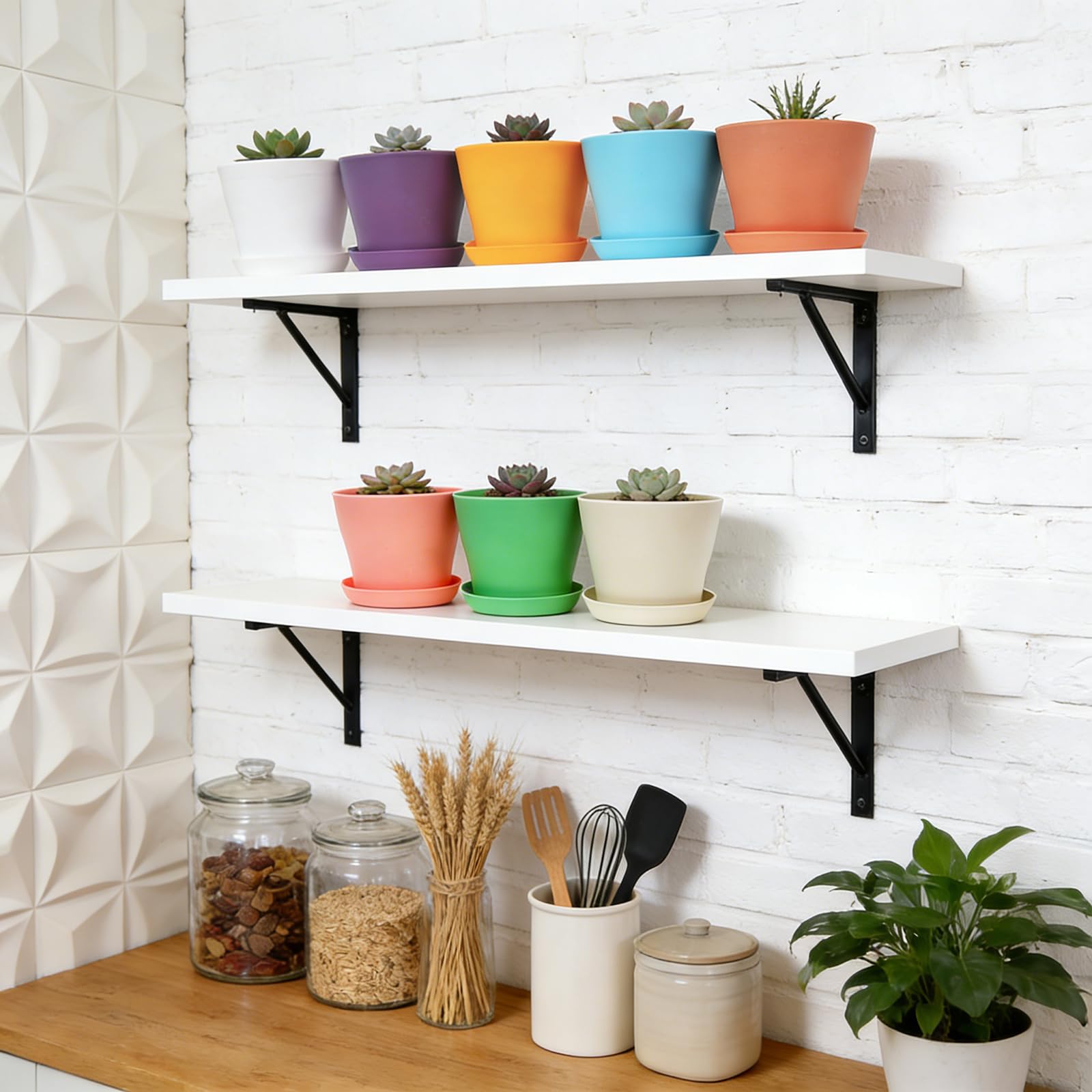 Tosnail 8-color assortment adds vibrant organization for herbs