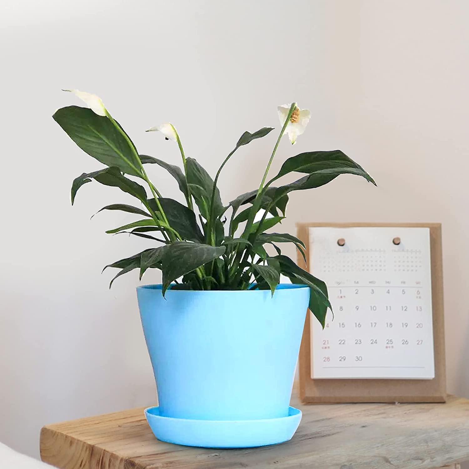 Tosnail indoor outdoor use pots for versatile placement