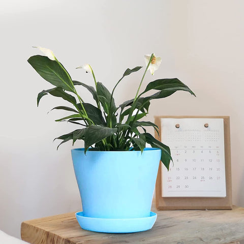 Tosnail indoor outdoor use pots for versatile placement