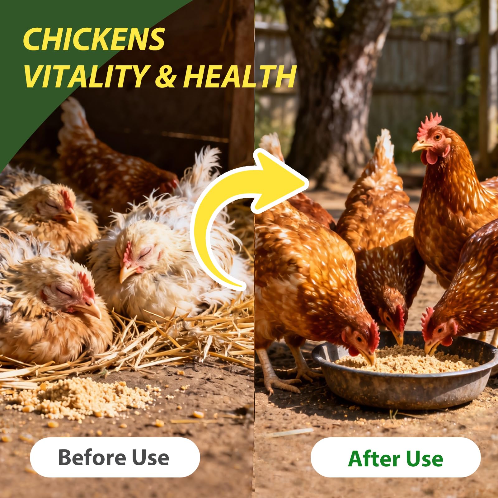 Totoketty Dewormer safe for laying hens may help maintain steady egg production