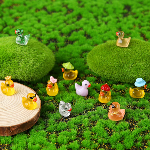 Touch Top glow-in-the-dark ducks illuminate tiny scenes in aquariums and night displays.