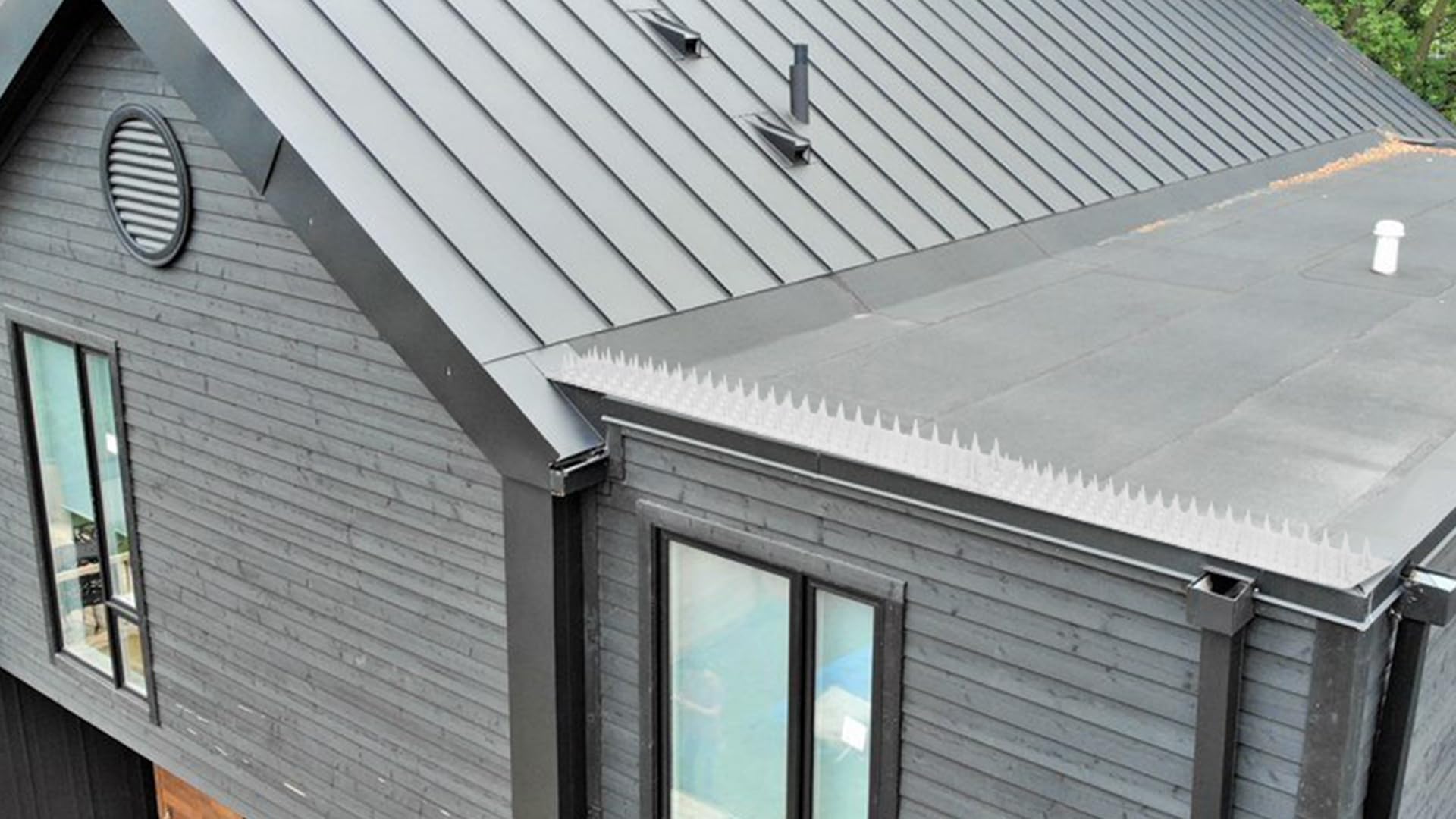 Touri 24-pack clear spikes shown for versatile outdoor protection on fences and ledges.