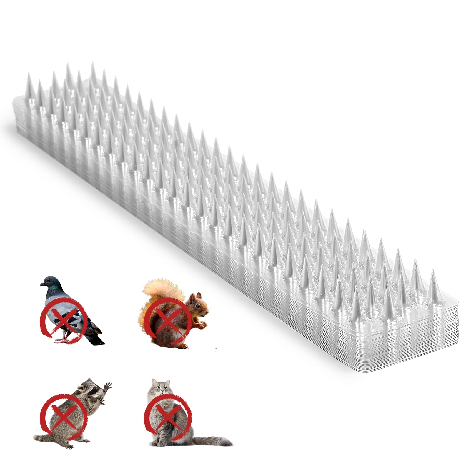 Touri bird spike strip on an outdoor fence deters perching and nesting.