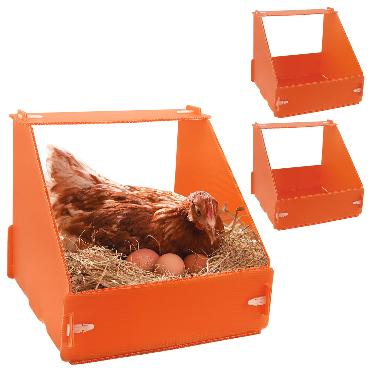Touri chicken nesting box assembly with Velcro for quick setup