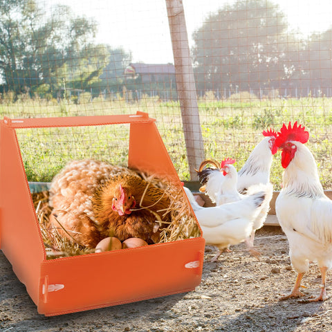 Touri orange color improves visibility in the coop