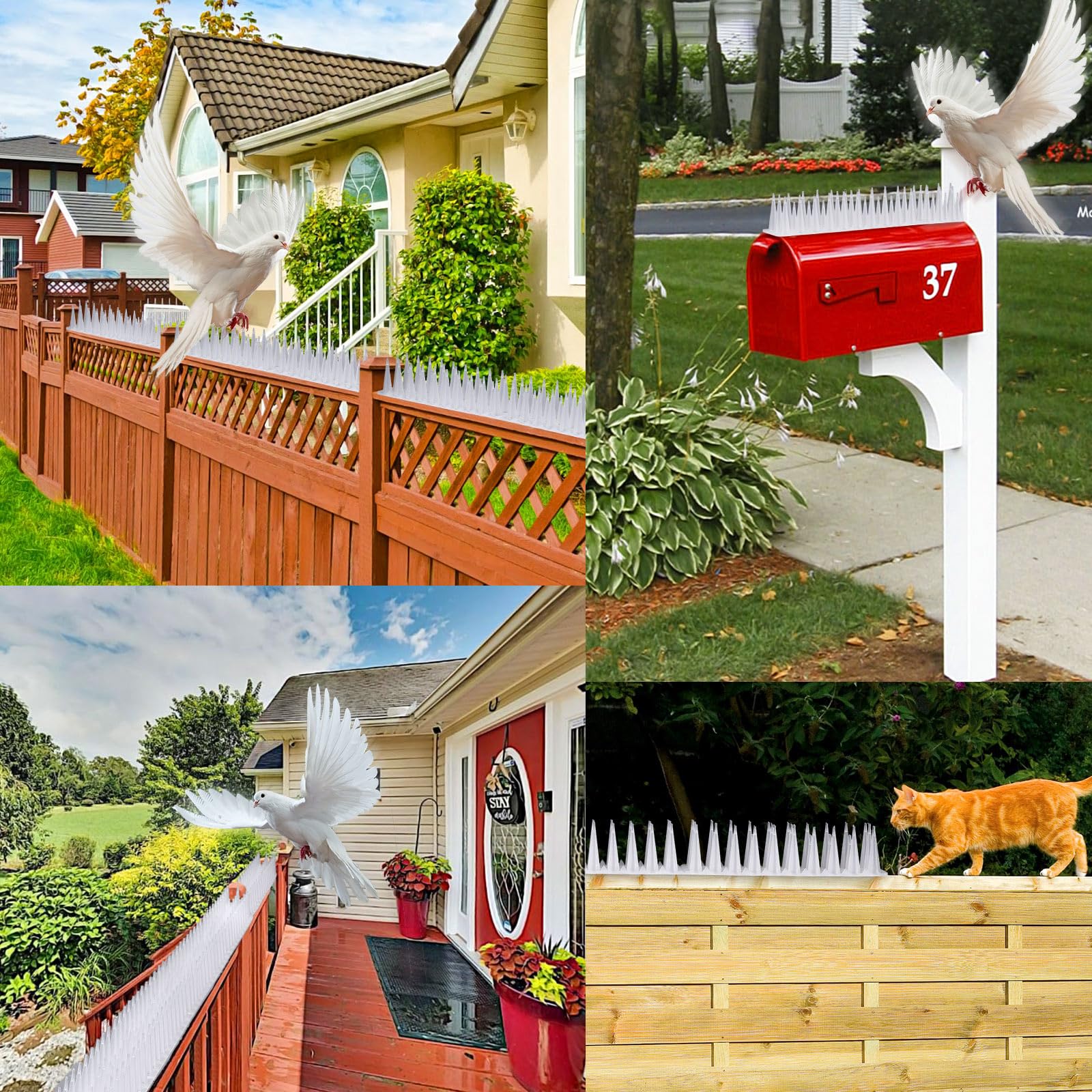 TOBWOLF outdoor spikes protect boundary edges without harming wildlife.