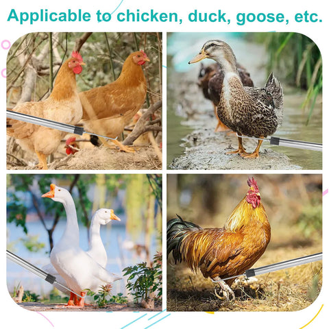 TOXYMHO chicken catcher foldable net stores away compactly