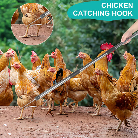 TOXYMHO chicken catcher stainless steel rod enhances durability and reliability