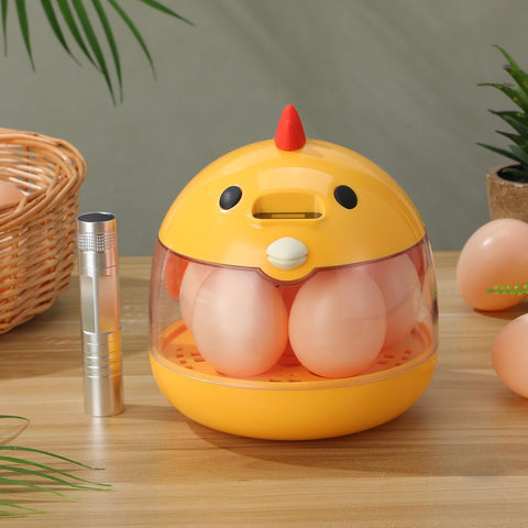 TOYANDONA 5-egg incubator compact design fits desks and small spaces