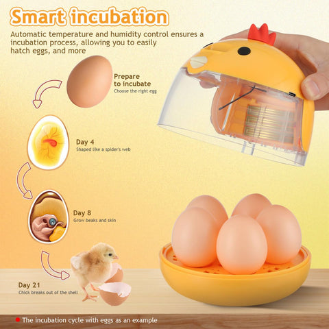 TOYANDONA 5-egg incubator digital display shows real time temperature and humidity