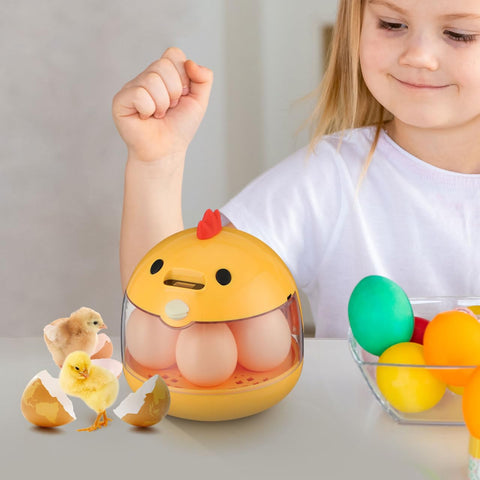 TOYANDONA 5-egg incubator multi species hatching setup with varied eggs