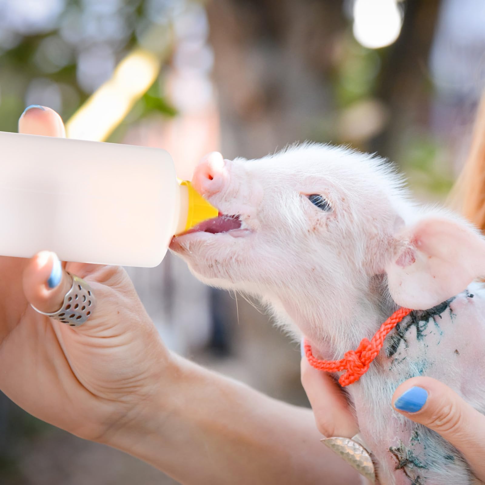 TOYANDONA goat-lamb feeding set includes five bottles and replacements