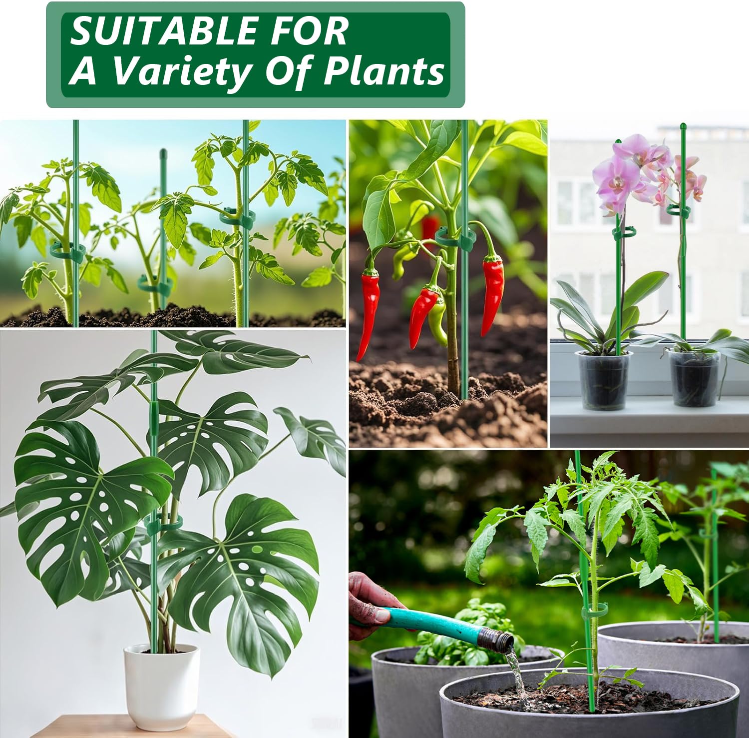 Toylin matte-green coating blends with plants for discreet support.