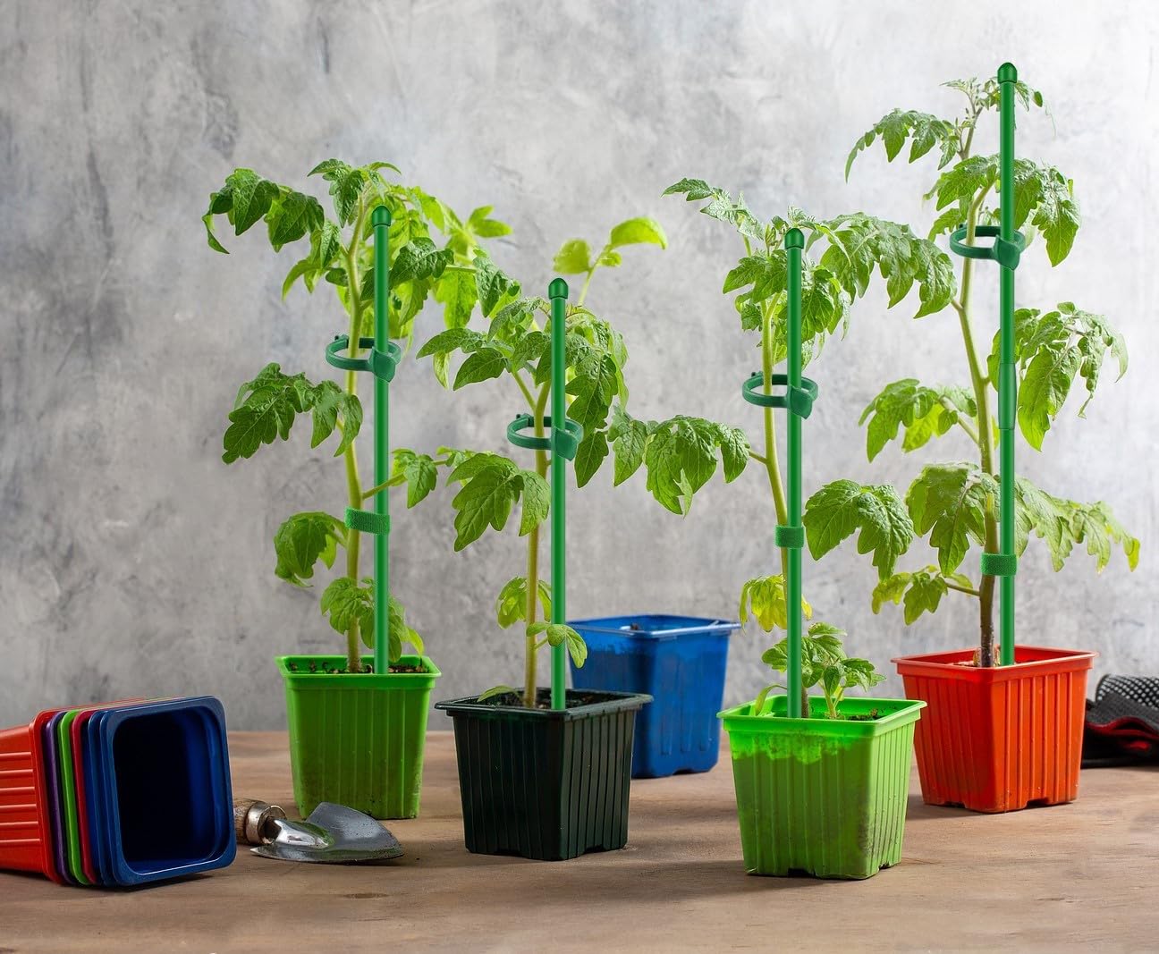 Toylin supports orchids, monsteras, tomatoes, and more with versatility.