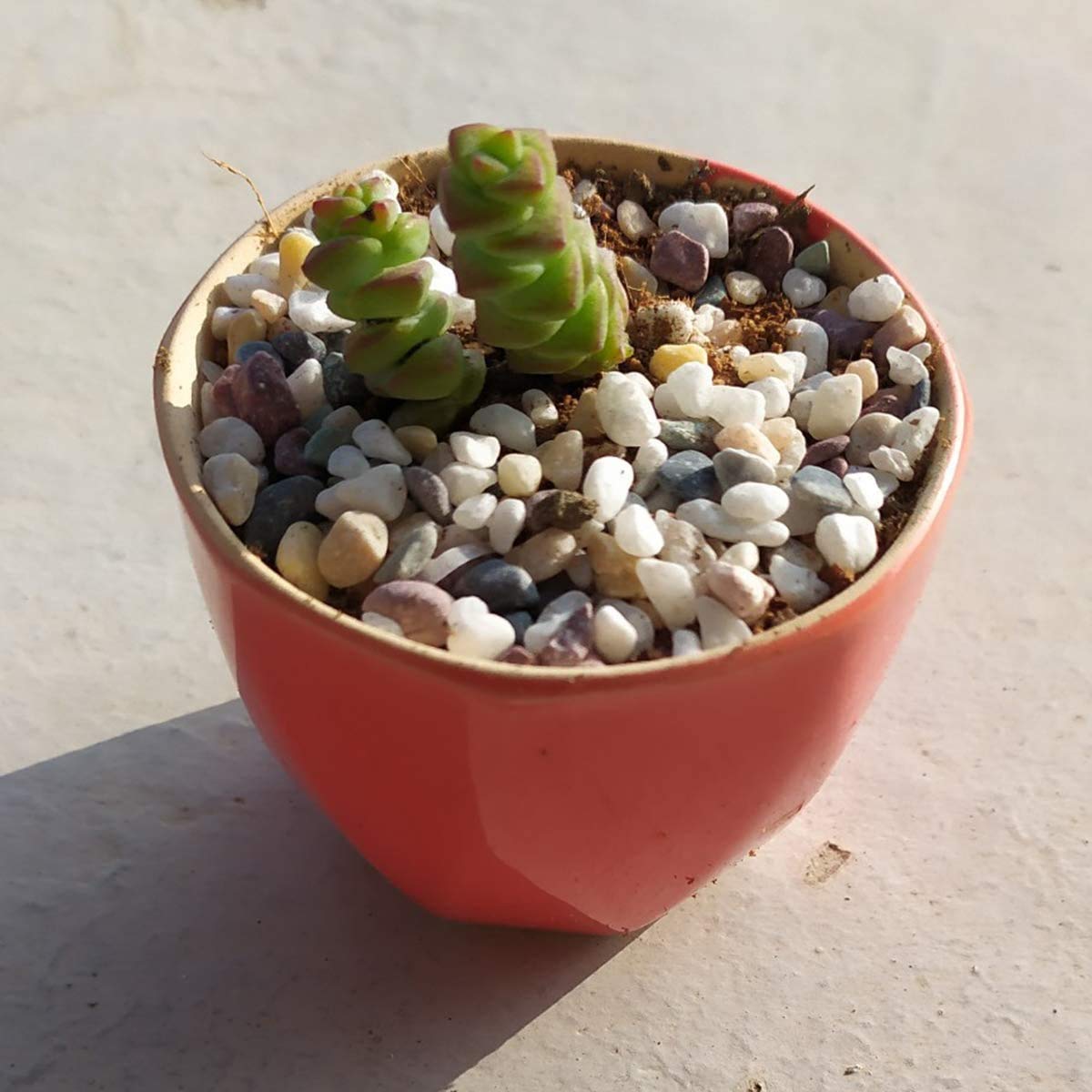 TOYPOPOR small stones suit top dressing for pots and vases.