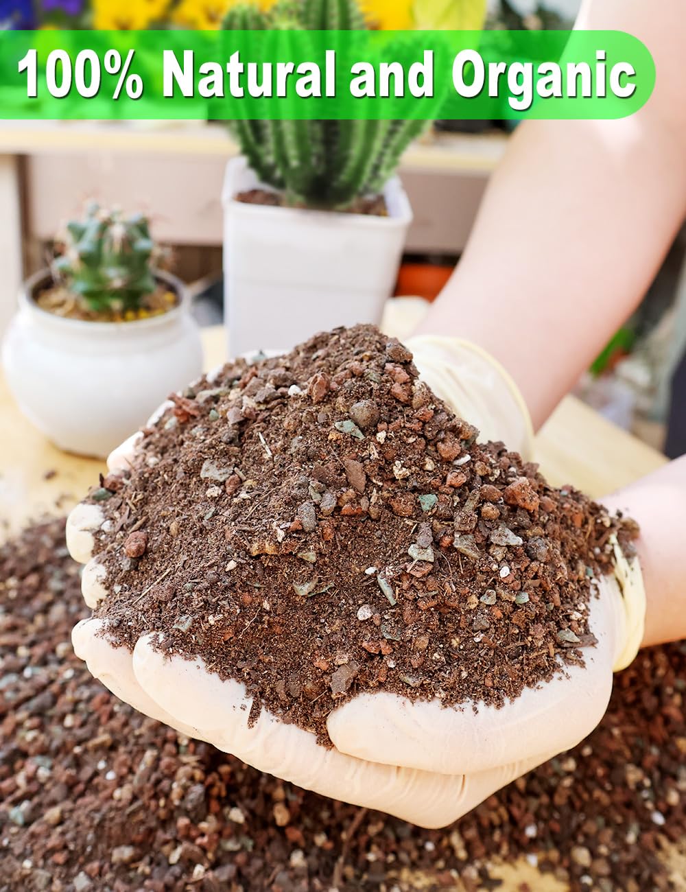 TOYPOPOR close-up of perlite and sand texture for rapid drainage and healthy roots.