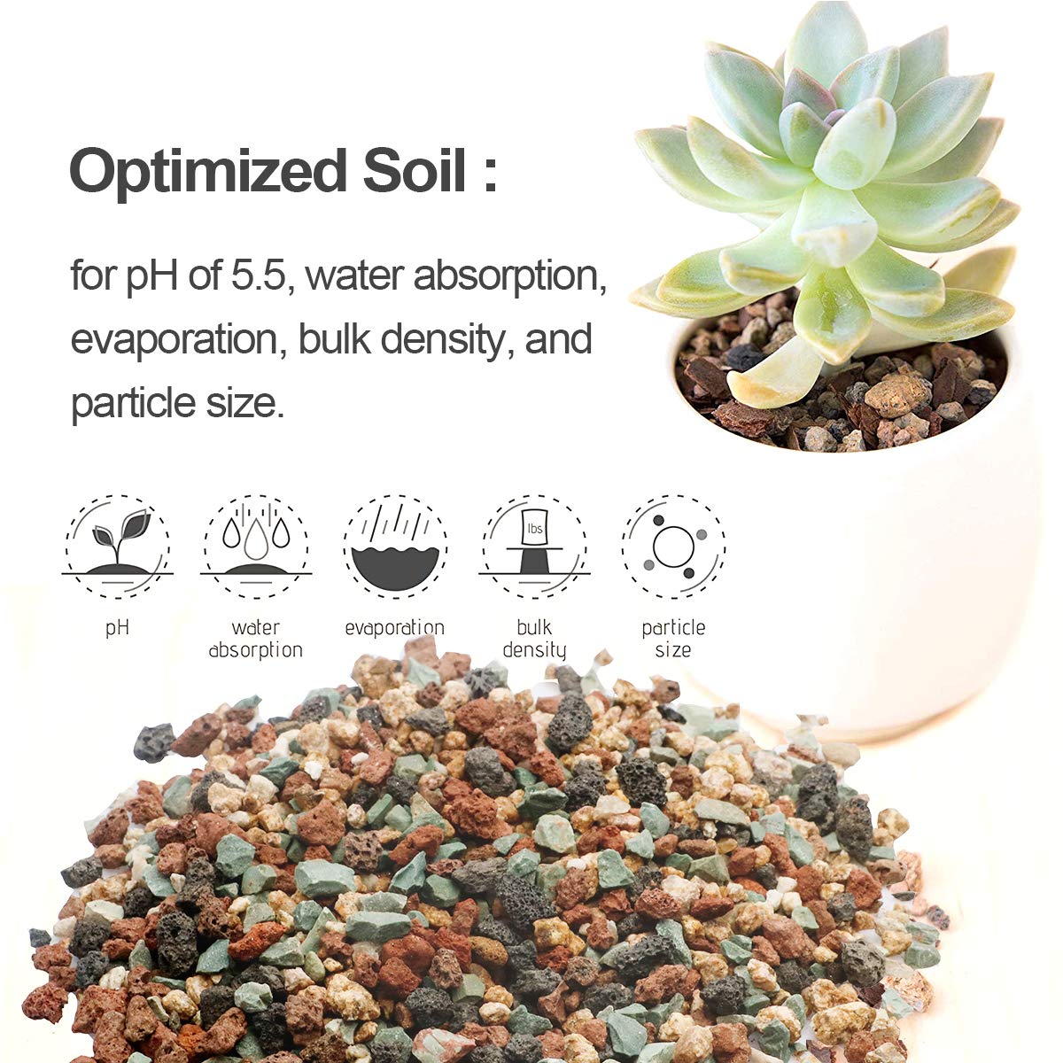 TOYPOPOR Pumice potting soil amendment improves drainage for diverse container plants.