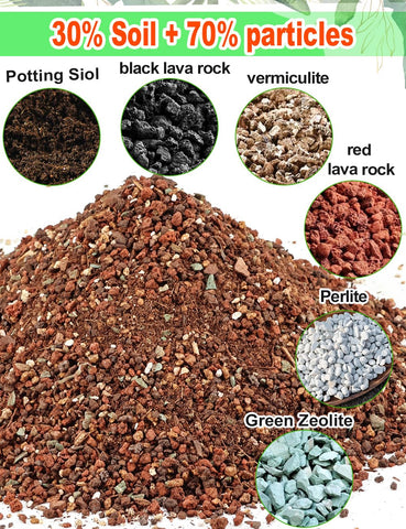 TOYPOPOR succulent soil bag back details composition and care notes for easy watering.