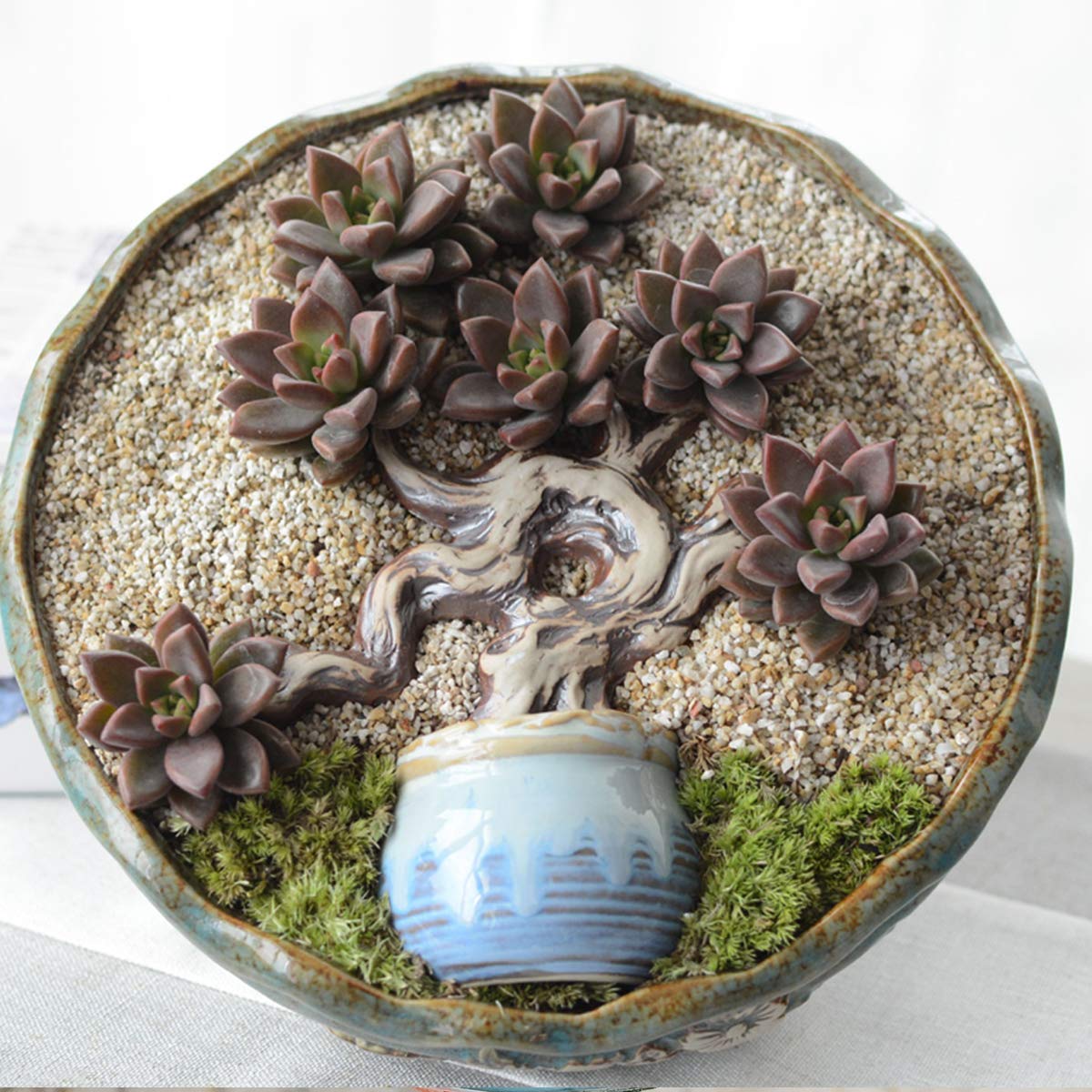 TOYPOPOR top dressing gravel finishes potted plants with a natural look