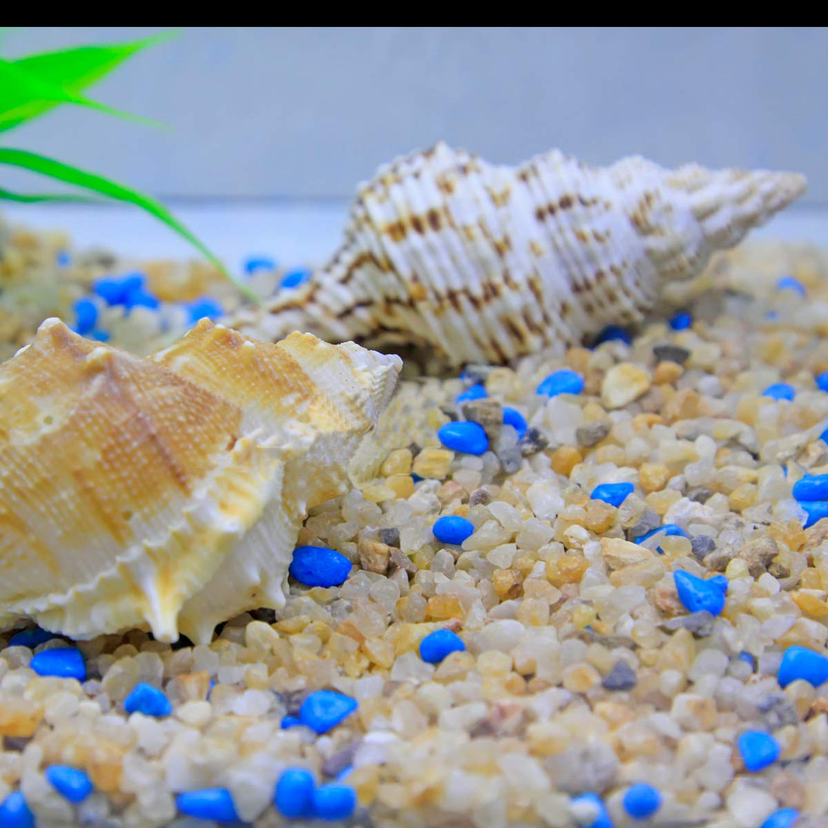TOYPOPOR fairy gardening pebbles for charming mini landscapes