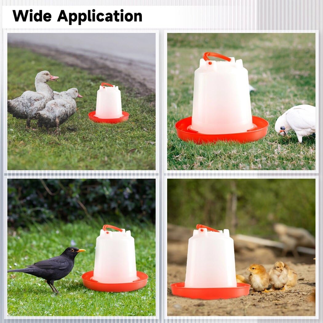 Toyosport four-pack waterers in coop for multi-bird hydration