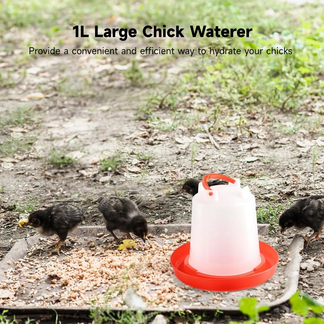 Toyosport gravity-feed poultry drinker showing steady water flow