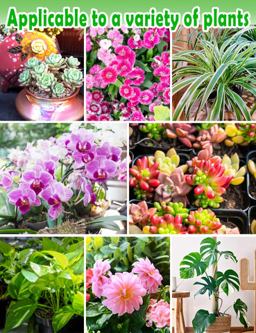 TOYPOPOR balanced pH optimizes nutrient uptake for a range of houseplants.