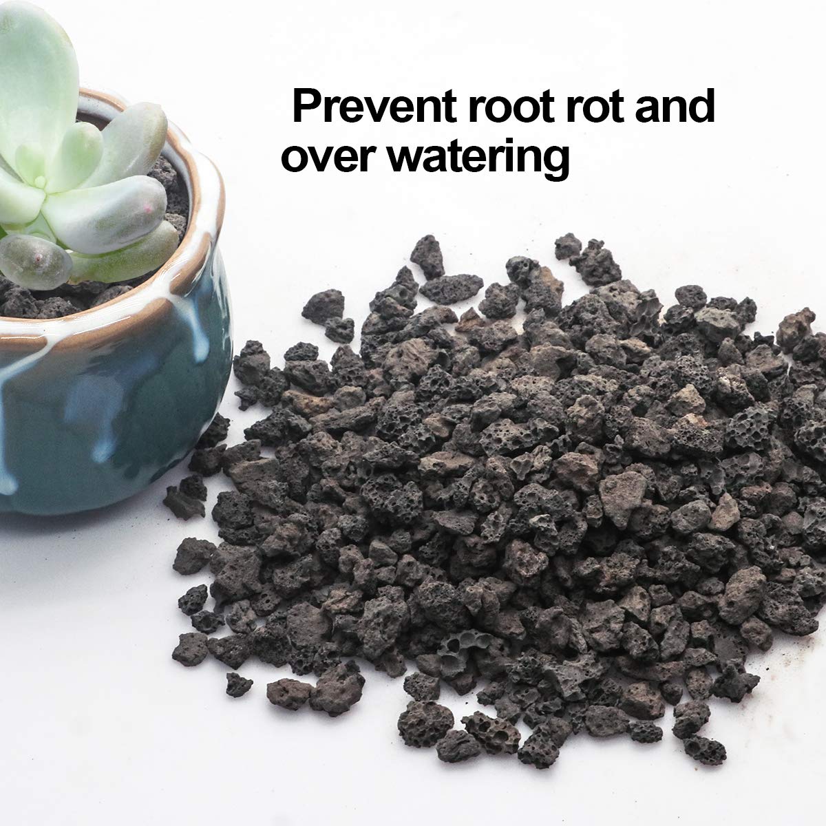 TOYPOPOR lava rock 6lb ideal for bonsai and terrarium top dressing adds natural texture.