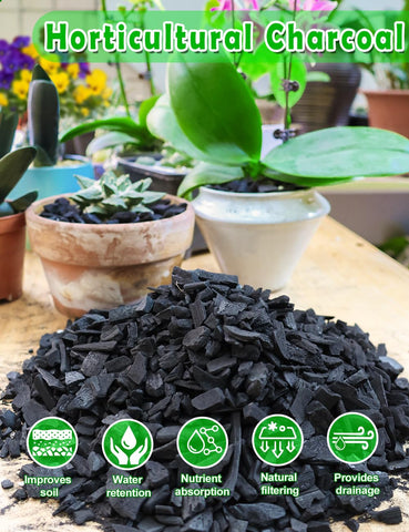 TOYPOPOR charcoal neutralizes impurities and odors in soil.