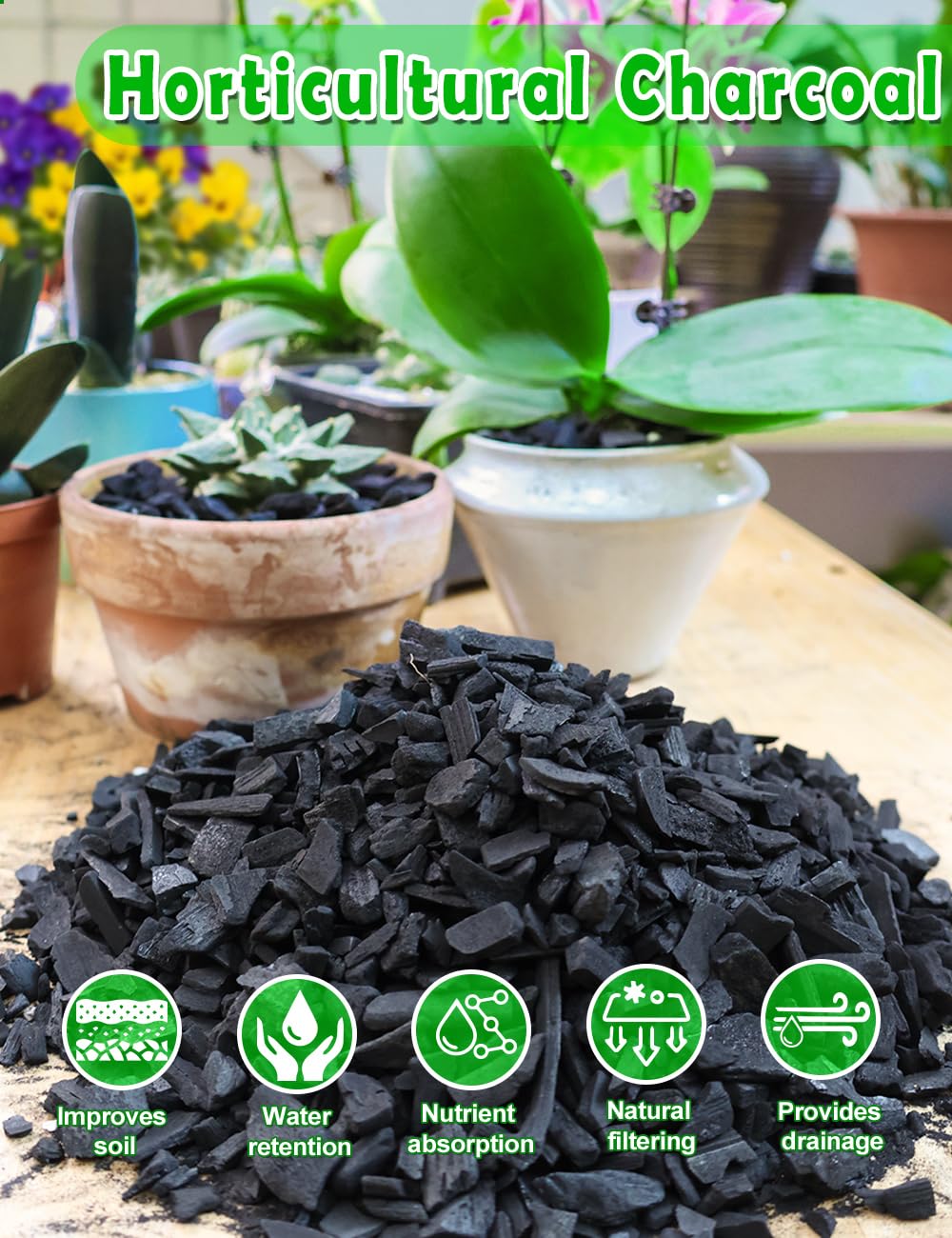 TOYPOPOR Charcoal adsorption reduces odors and impurities in soil.