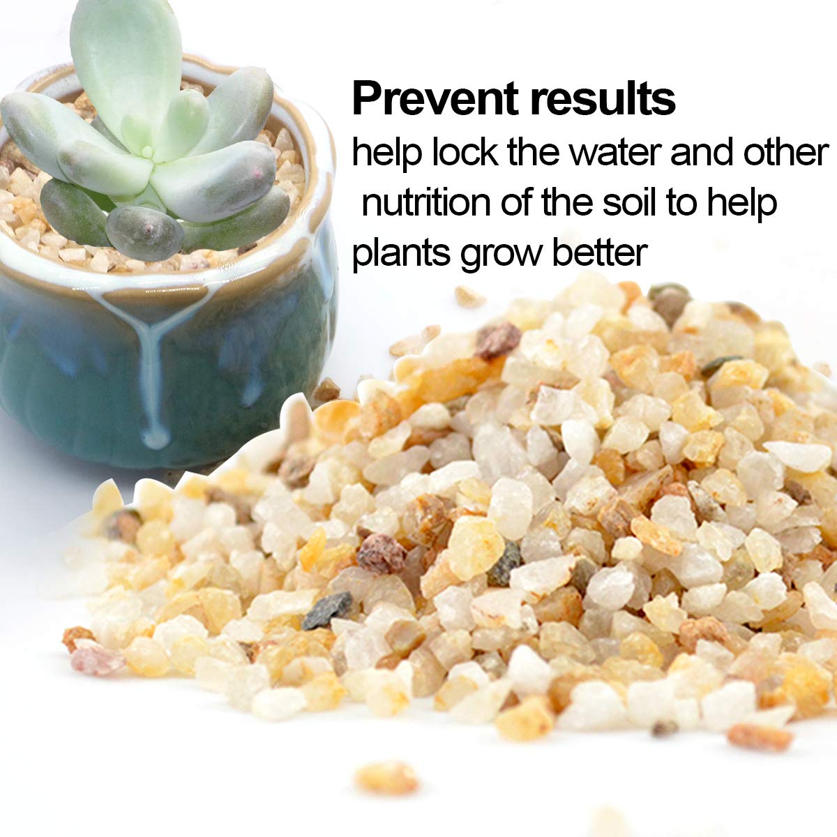 TOYPOPOR coarse silica sand creates succulent potting with good drainage.