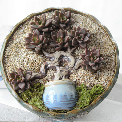 TOYPOPOR coarse silica sand in vases offers decorative, clean substrate.