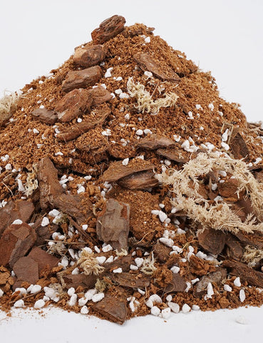 TOYPOPOR coco peat supports steady moisture without overwatering in orchid pots