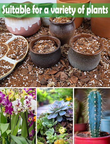 TOYPOPOR mix supports drainage and moisture control for thriving orchids