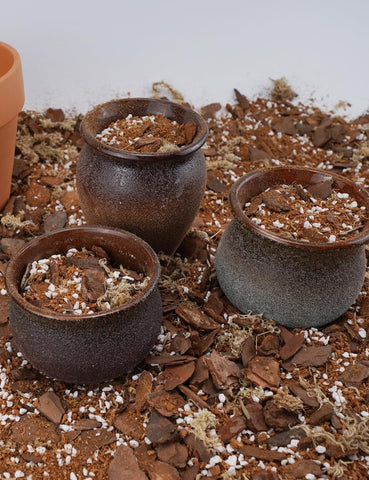 TOYPOPOR drainage-balanced orchid soil promotes even watering and healthy roots