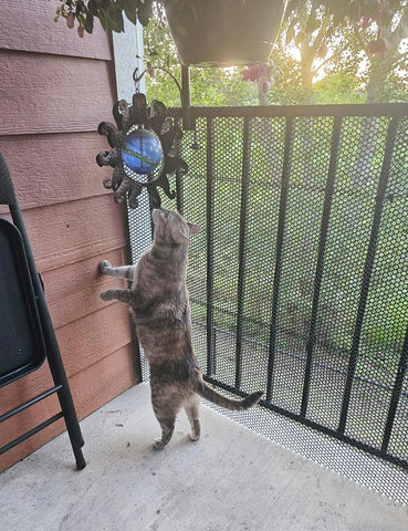 TOYPOPOR 0.4 inch aperture helps deter intruders.
