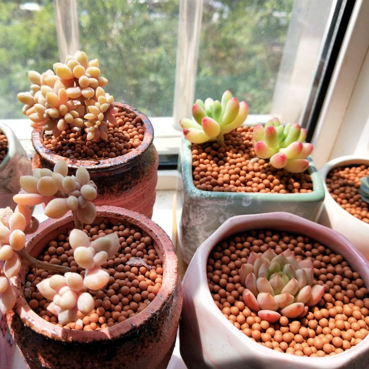TOYPOPOR dust-free clay pebbles mock-up for clean, easy setup.