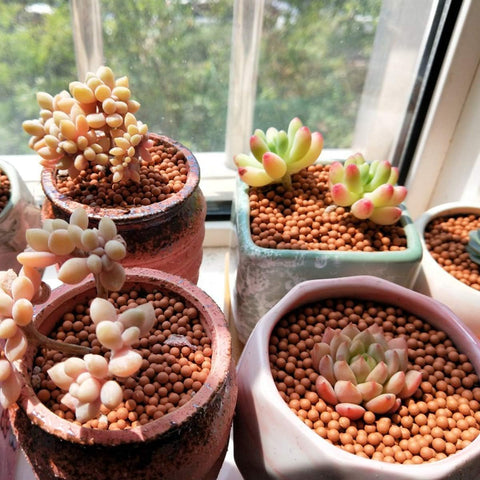 TOYPOPOR dust-free clay pebbles mock-up for clean, easy setup.