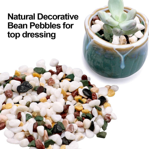TOYPOPOR eco-friendly gravel is non-toxic and dye-free for safe, family-friendly displays