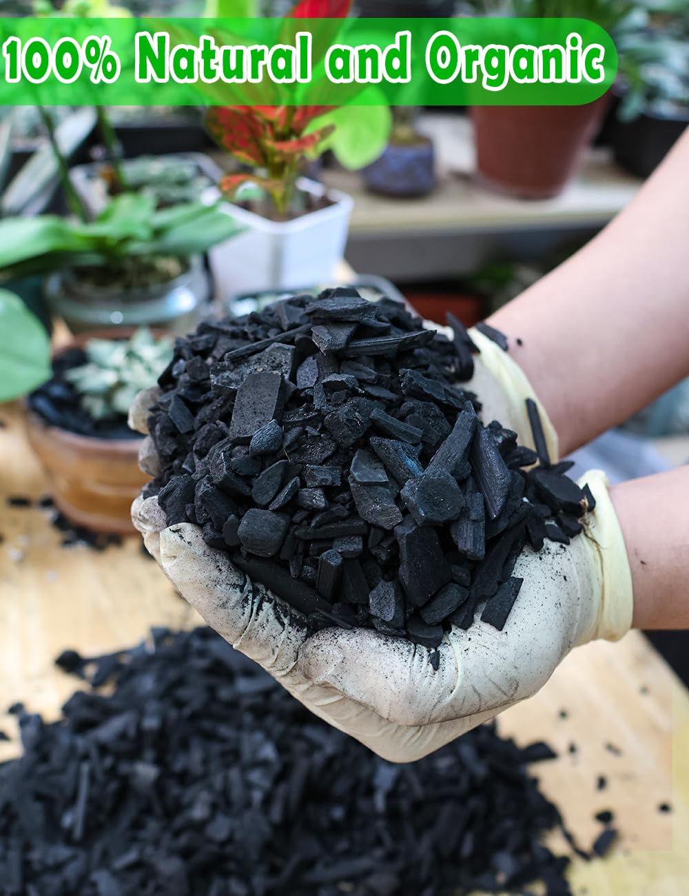 TOYPOPOR soil amendment charcoal improving porosity for potted plants.