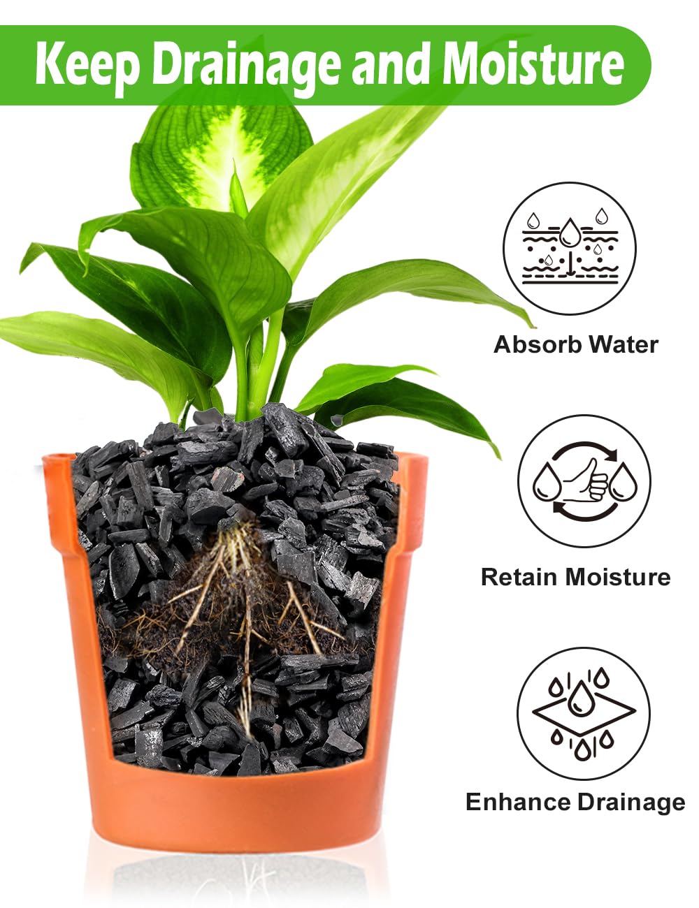 TOYPOPOR Horticultural Charcoal terrarium use enhances substrate structure.