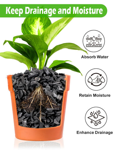 TOYPOPOR Horticultural Charcoal terrarium use enhances substrate structure.