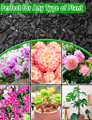 TOYPOPOR charcoal improves soil aeration, supporting root development.
