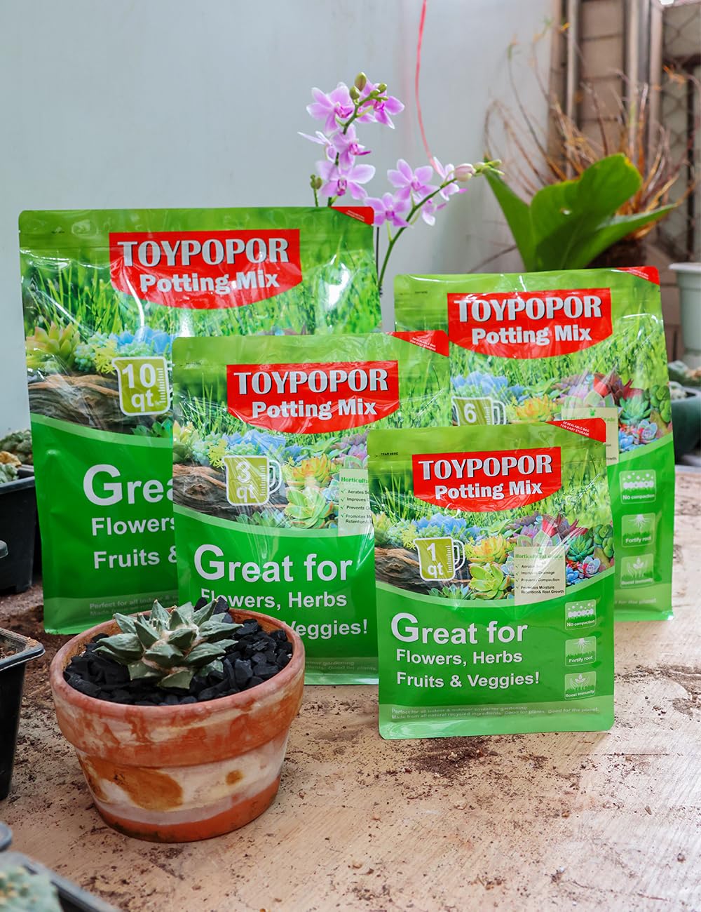 TOYPOPOR Indoor plant charcoal supports orchids and succulents with better drainage.