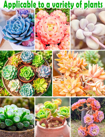 TOYPOPOR indoor plants thrive with this ready-to-use mix.