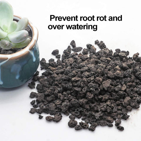 TOYPOPOR lava rock used in bonsai mix for soil aeration