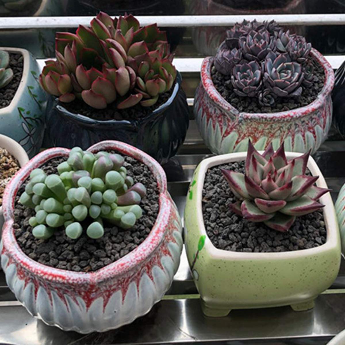 TOYPOPOR lava rock for succulents and potting mixes