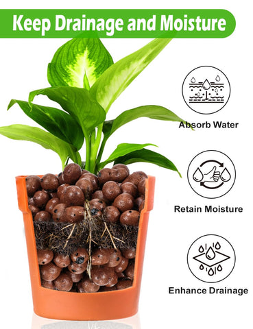 TOYPOPOR Leca orchid substrate provides gentle drainage for healthy roots.