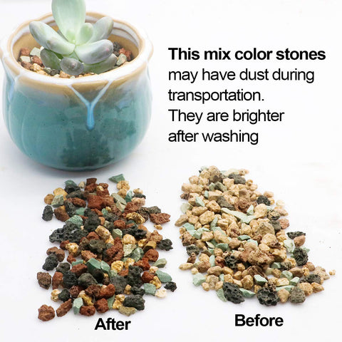 TOYPOPOR lava pebbles terrarium application enhances airflow and aesthetics.