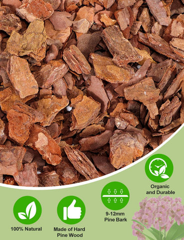 TOYPOPOR orchid mix suitable for epiphytic orchids like Phalaenopsis and Cattleya.